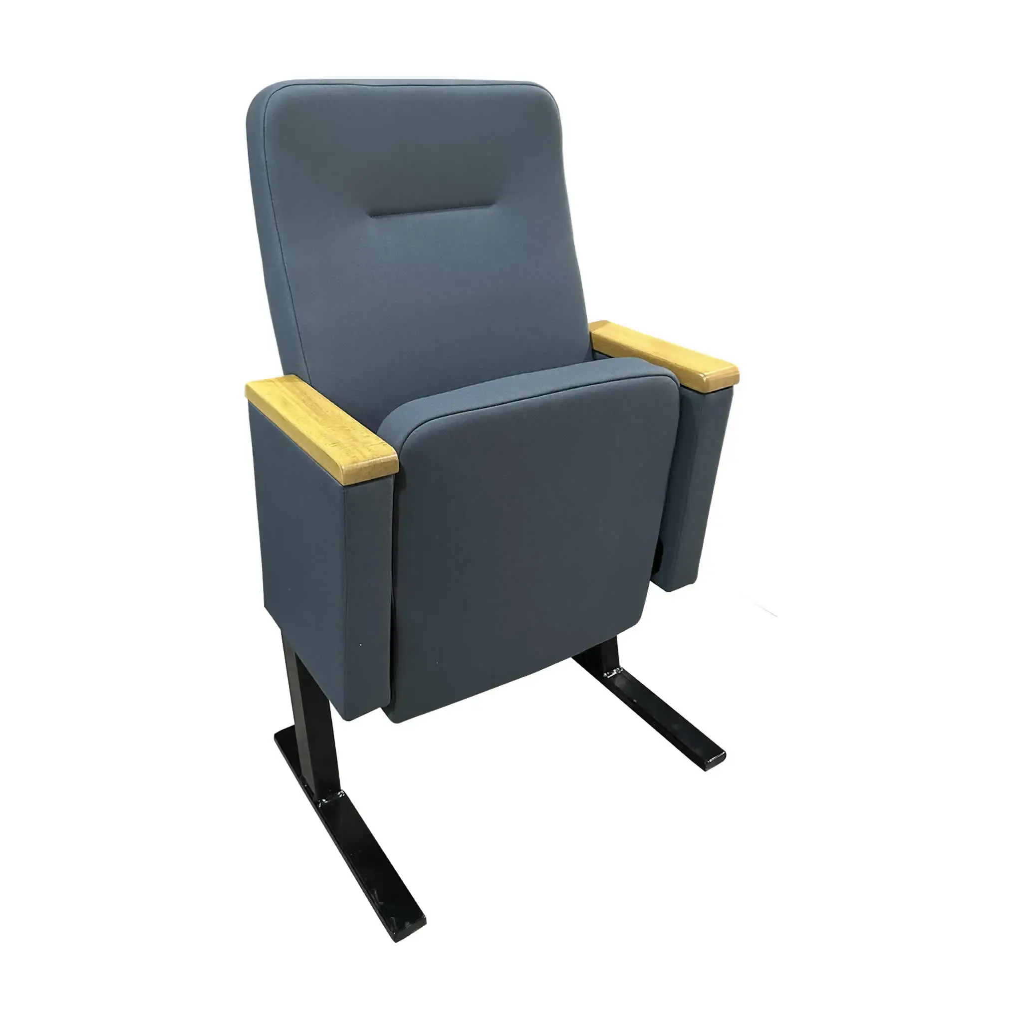 DIAMOND 04 Auditorium Seat Image