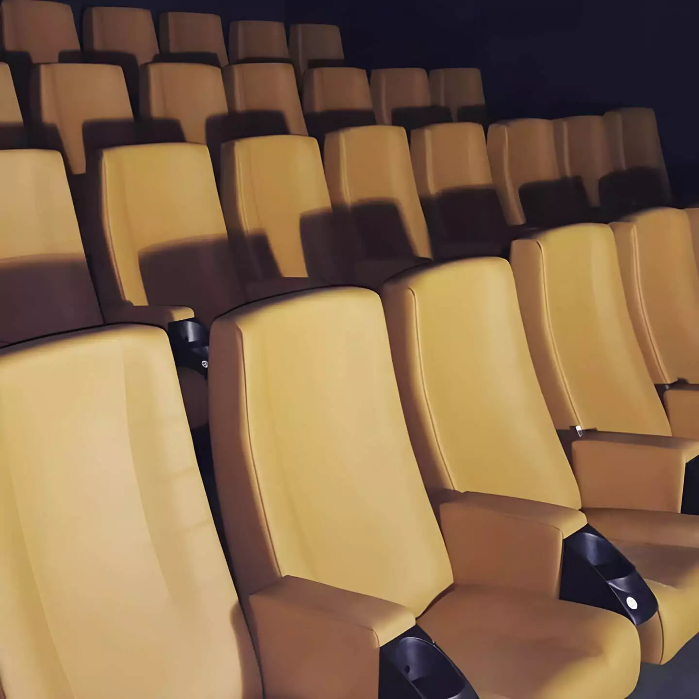 Cinema Seating Project - Monseat Image